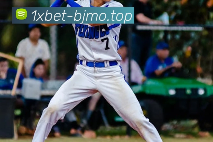 1xbet官网平台生态图